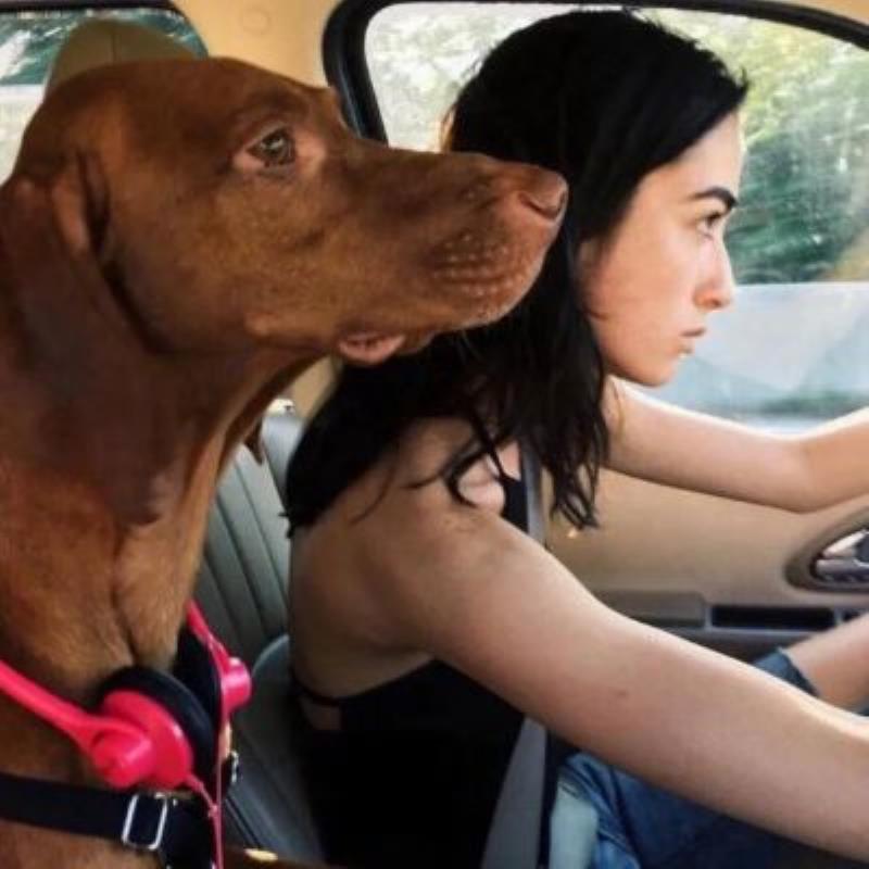 惠州旅游私人導游影視經紀人受璐佩 惠州旅游私人導游影視經紀人受璐佩