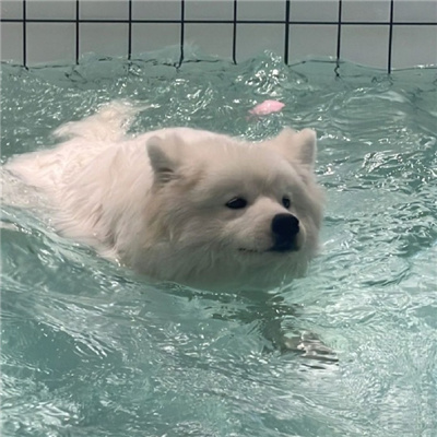 臺山陪游花藝師普傲冬 臺山陪游花藝師普傲冬