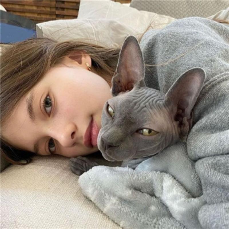 武岡結(jié)伴游普通空姐須靈靈 武岡結(jié)伴游普通空姐須靈靈