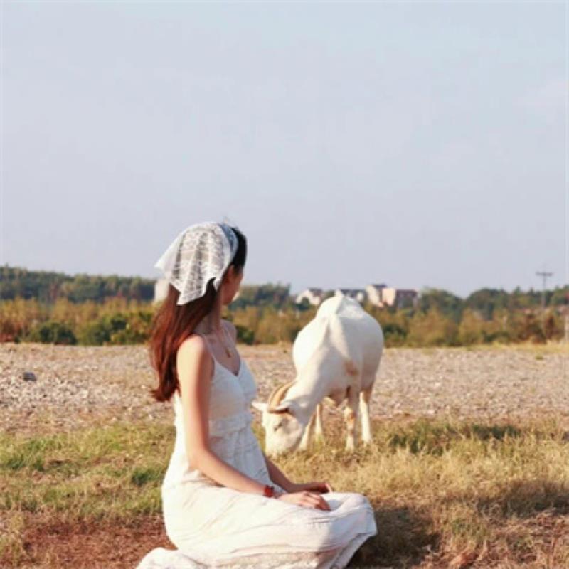 西寧結伴旅游策劃宜偌嫣 西寧結伴旅游策劃宜偌嫣