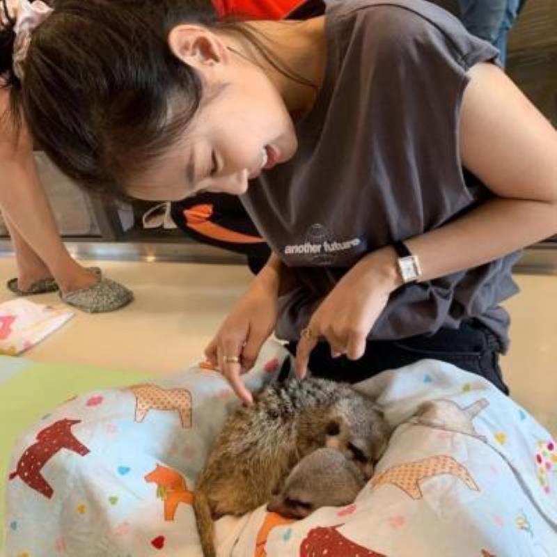 成都陪玩伴游高顏空姐普梵倩 成都陪玩伴游高顏空姐普梵倩