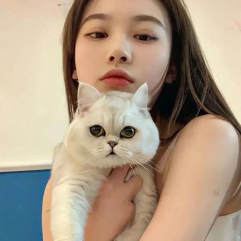 湖州陪游女孩行政管理戰(zhàn)曼蝶 湖州陪游女孩行政管理戰(zhàn)曼蝶