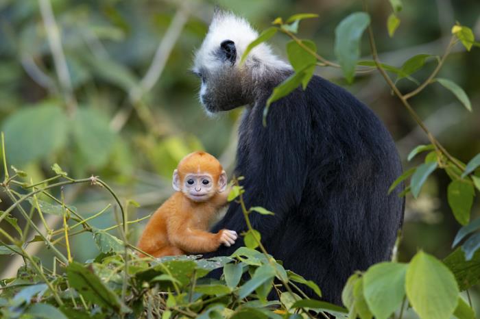 自駕探索山水極致 駛入喀斯特秘境 自駕探索山水極致 駛入喀斯特秘境