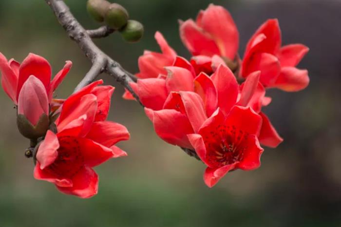 自駕探索山水極致 駛入喀斯特秘境 自駕探索山水極致 駛入喀斯特秘境