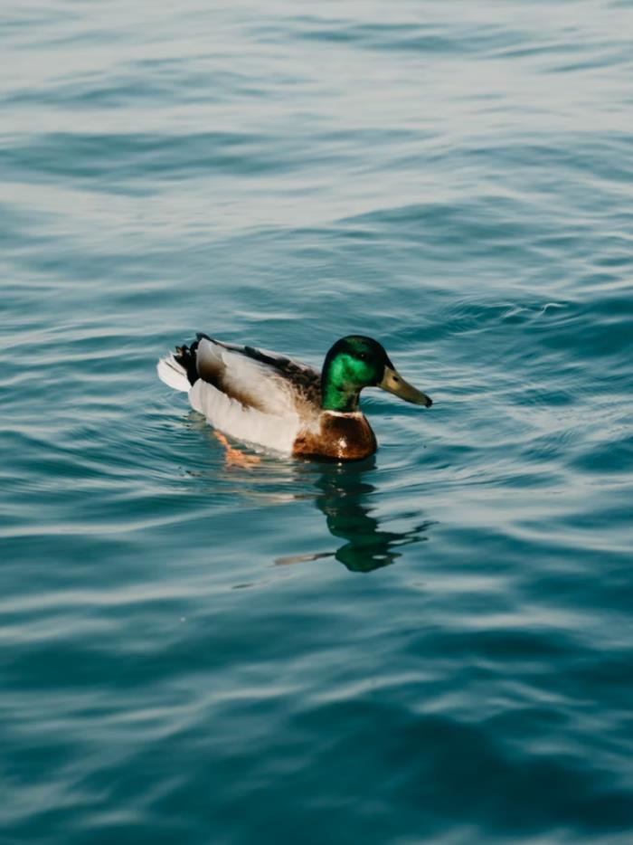 自駕探索山水極致 駛入喀斯特秘境 自駕探索山水極致 駛入喀斯特秘境