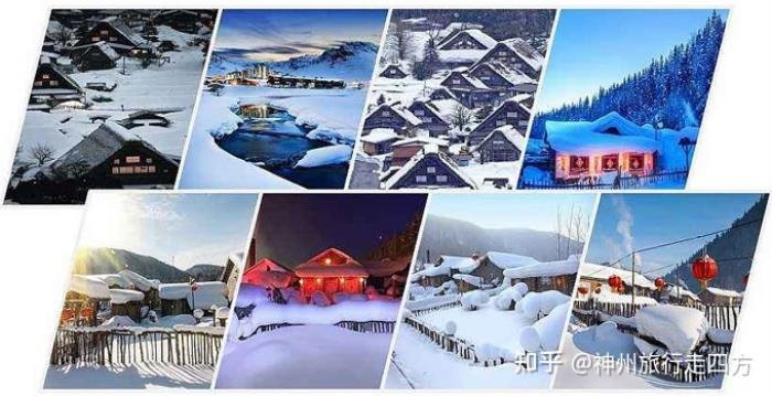 找哈爾濱雪鄉口碑好的商務伴游,讓你的哈爾濱旅游開心 找哈爾濱雪鄉口碑好的商務伴游,讓你的哈爾濱旅游開心