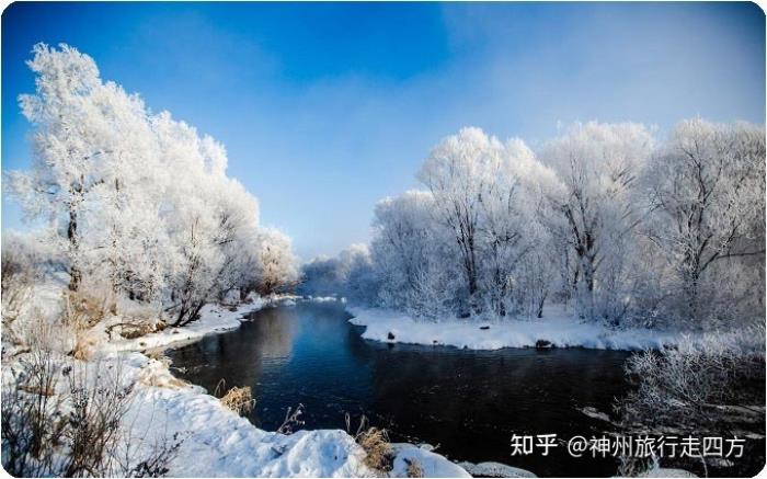 找哈爾濱雪鄉口碑好的商務伴游,讓你的哈爾濱旅游開心 找哈爾濱雪鄉口碑好的商務伴游,讓你的哈爾濱旅游開心