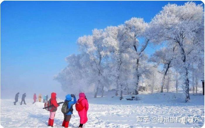 找哈爾濱雪鄉口碑好的商務伴游,讓你的哈爾濱旅游開心 找哈爾濱雪鄉口碑好的商務伴游,讓你的哈爾濱旅游開心