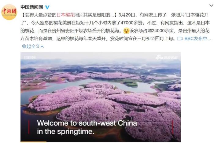 國內花海頂流,火了四年,免收門票,浪漫不會遲到! 國內花海頂流,火了四年,免收門票,浪漫不會遲到!