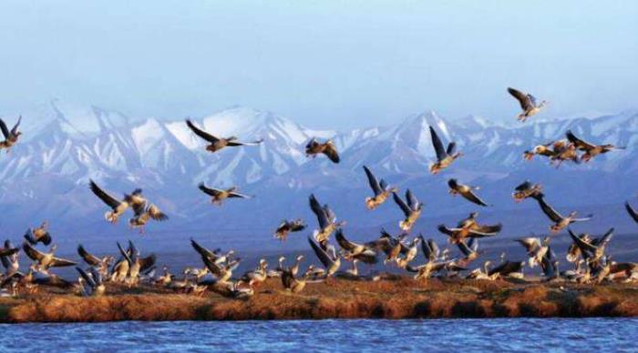 探索“第五大無人區(qū)”,抵達(dá)絲路的千年傳奇 探索“第五大無人區(qū)”,抵達(dá)絲路的千年傳奇