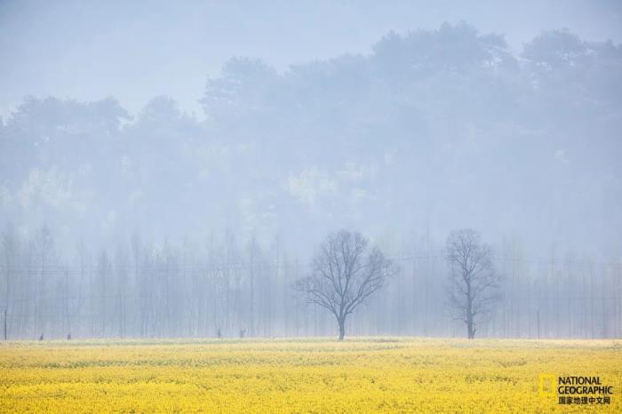徽州歸來不看春,中國江南春意的最高潮! 徽州歸來不看春,中國江南春意的最高潮!