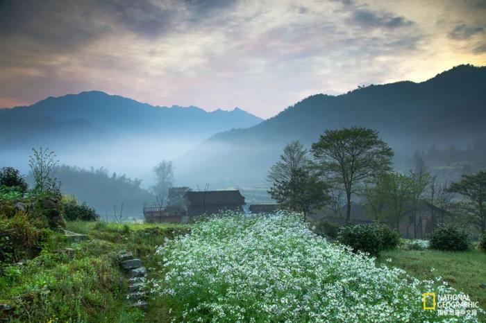 徽州歸來不看春,中國江南春意的最高潮! 徽州歸來不看春,中國江南春意的最高潮!