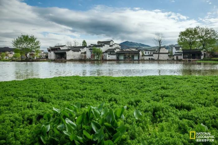 徽州歸來不看春,中國江南春意的最高潮! 徽州歸來不看春,中國江南春意的最高潮!