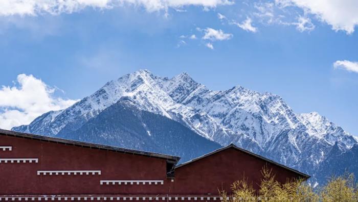 年年賣爆的西藏林芝桃花 解鎖全新玩法! 年年賣爆的西藏林芝桃花 解鎖全新玩法!