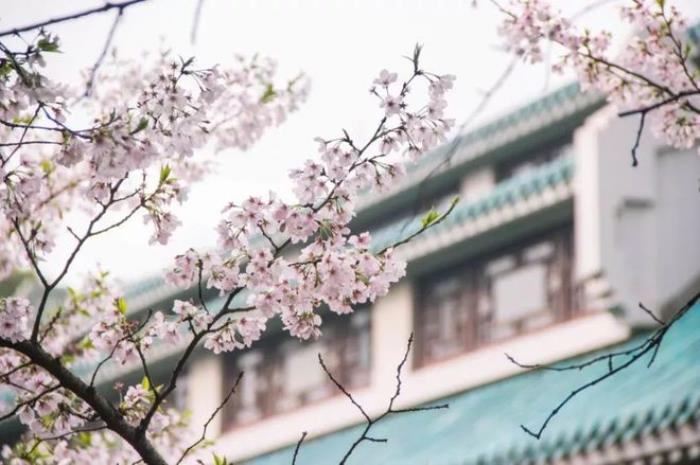 四月,這些浪漫的旅游景點,適合邂逅愛情 四月,這些浪漫的旅游景點,適合邂逅愛情