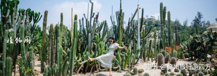 福建廈門伴游路線,廈門伴游必去景點大全,讓你的伴游輕松愉快! 福建廈門伴游路線,廈門伴游必去景點大全,讓你的伴游輕松愉快!