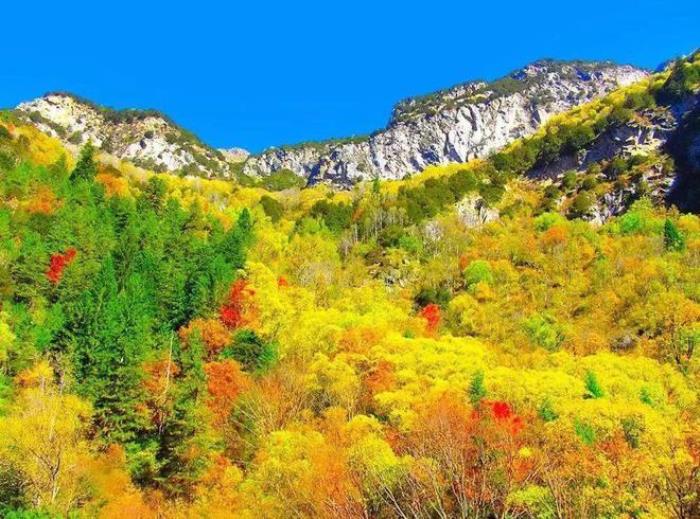 九寨溝僅占1%的美，阿壩州13縣，處處是天堂！