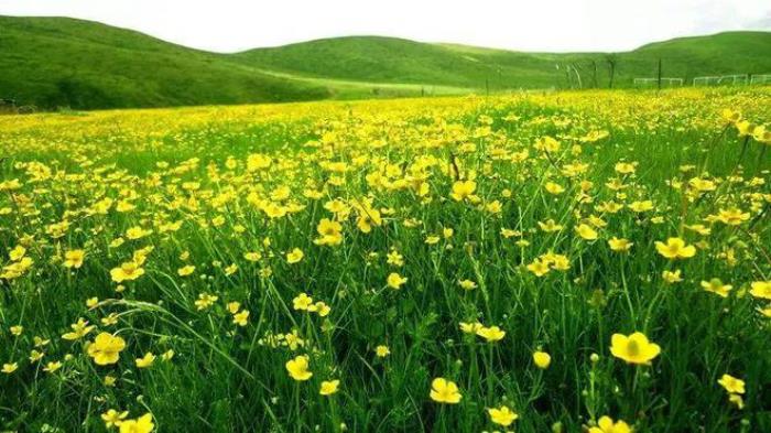 九寨溝僅占1%的美，阿壩州13縣，處處是天堂！