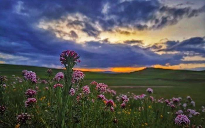 遇見甘南草原、黃河濕地、安多藏族風情