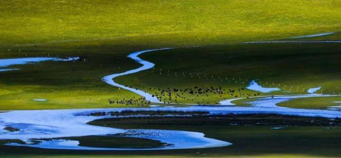 遇見甘南草原、黃河濕地、安多藏族風情