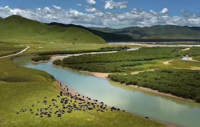 遇見甘南草原、黃河濕地、安多藏族風情