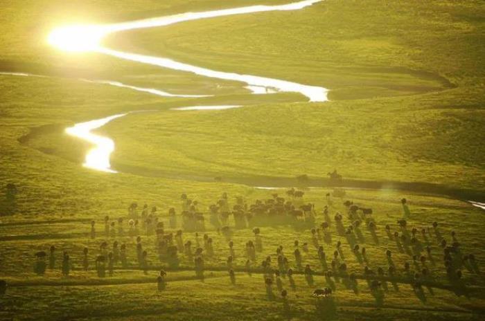 遇見甘南草原、黃河濕地、安多藏族風情