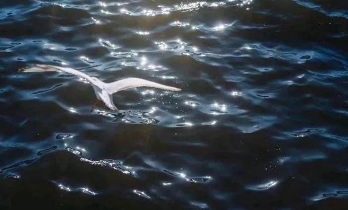 去昆明,邂逅寒冷冬日的春暖花開