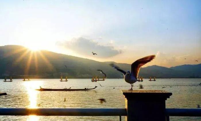 去昆明,邂逅寒冷冬日的春暖花開