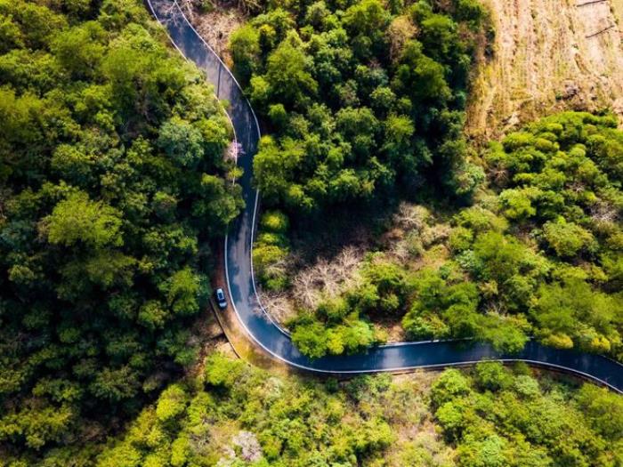 最美的風(fēng)景,永遠(yuǎn)在路上!適合春天出發(fā)的5條自駕路線(xiàn),出發(fā)吧! 最美的風(fēng)景,永遠(yuǎn)在路上!適合春天出發(fā)的5條自駕路線(xiàn),出發(fā)吧!