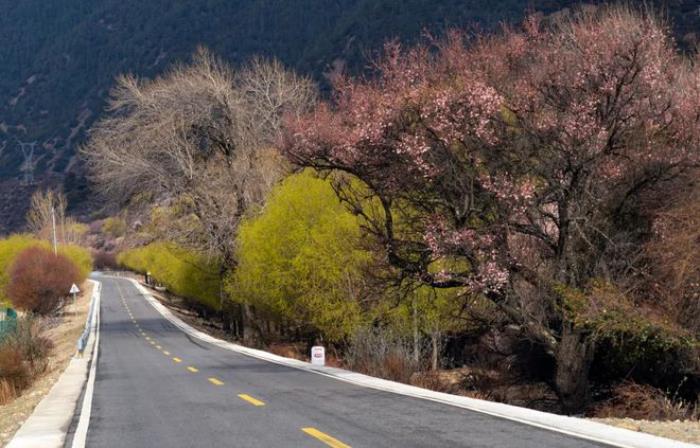 最美的風(fēng)景,永遠(yuǎn)在路上!適合春天出發(fā)的5條自駕路線(xiàn),出發(fā)吧! 最美的風(fēng)景,永遠(yuǎn)在路上!適合春天出發(fā)的5條自駕路線(xiàn),出發(fā)吧!