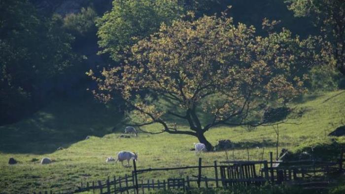 說(shuō)走就走！西安周邊3個(gè)徒步好去處