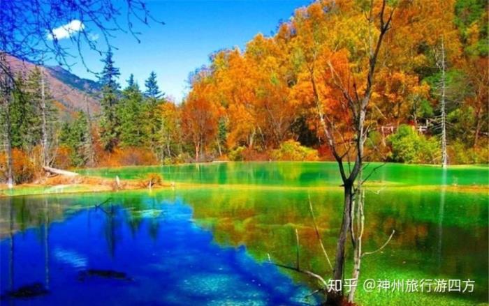 私人導游
才跟閨蜜到四川成都玩了5天,去之前自己也做了一些攻略 私人導游
才跟閨蜜到四川成都玩了5天,去之前自己也做了一些攻略