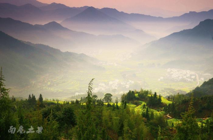 別來找我 我要去婺源掃黃了 別來找我 我要去婺源掃黃了