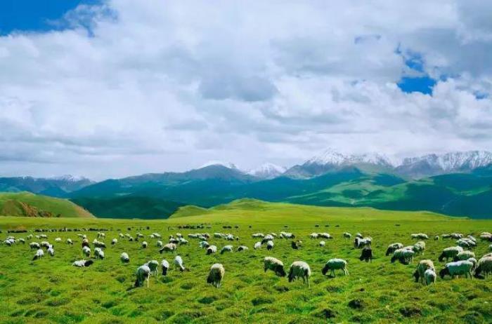 去新疆,看世界的風景 去新疆,看世界的風景