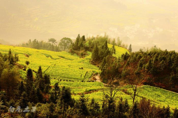 別來找我 我要去婺源掃黃了 別來找我 我要去婺源掃黃了