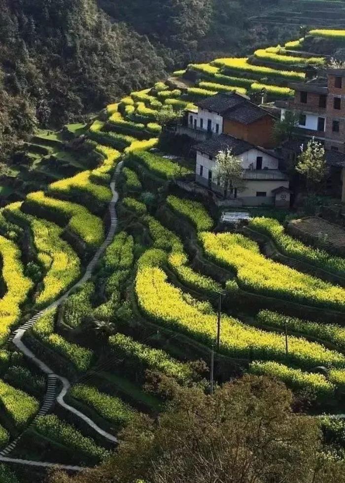 三四月不可錯過的8個地方,春色融融,收拾好行囊踏春去吧! 三四月不可錯過的8個地方,春色融融,收拾好行囊踏春去吧!