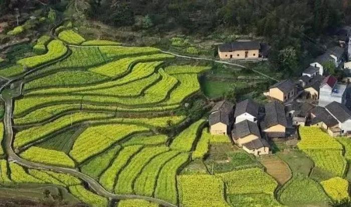 三四月不可錯過的8個地方,春色融融,收拾好行囊踏春去吧! 三四月不可錯過的8個地方,春色融融,收拾好行囊踏春去吧!