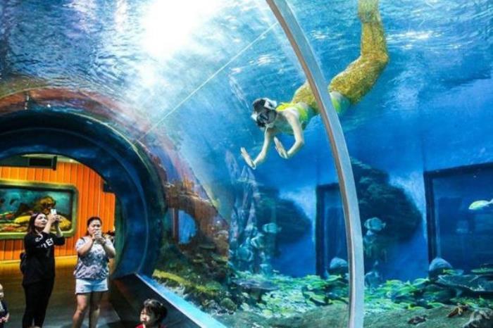 武漢東湖海洋世界可以帶吃的進去嗎