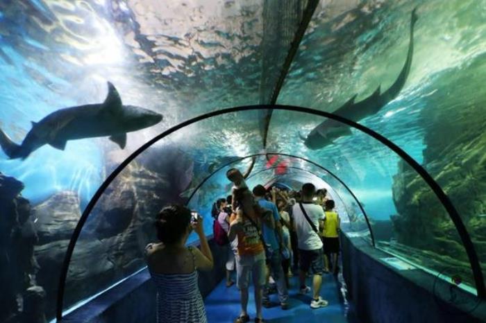 武漢東湖海洋世界沒帶身份證可以進去嗎 武漢東湖海洋世界沒帶身份證可以進去嗎