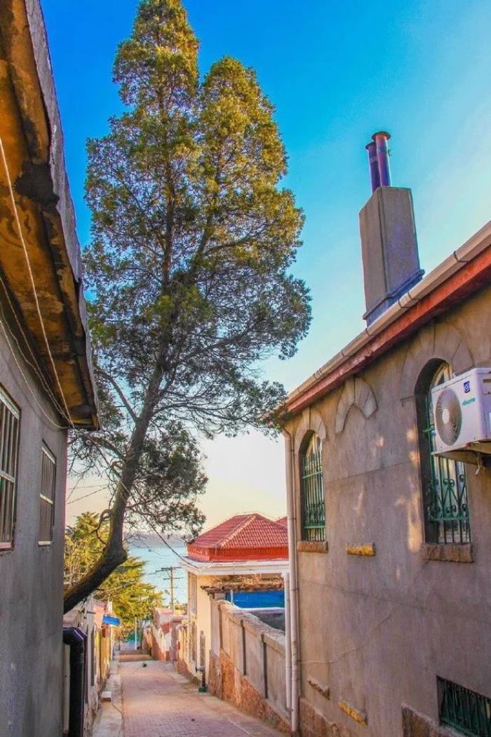 三四月不可錯過的8個地方,春色融融,收拾好行囊踏春去吧! 三四月不可錯過的8個地方,春色融融,收拾好行囊踏春去吧!