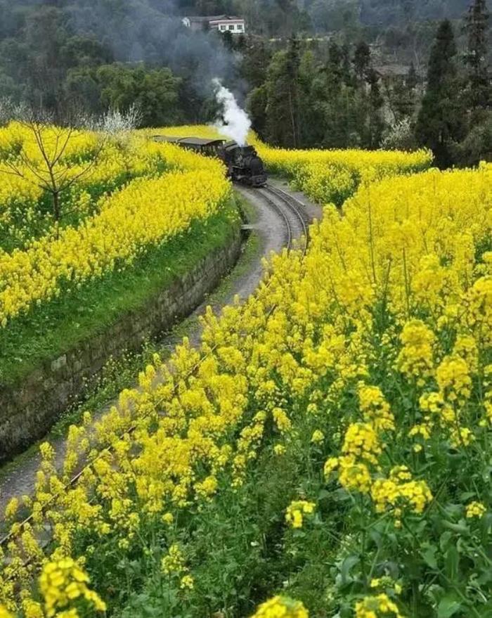 三四月不可錯過的8個地方,春色融融,收拾好行囊踏春去吧! 三四月不可錯過的8個地方,春色融融,收拾好行囊踏春去吧!