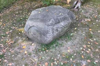 泰國私人伴游的一些密事，男人的天堂,有很多