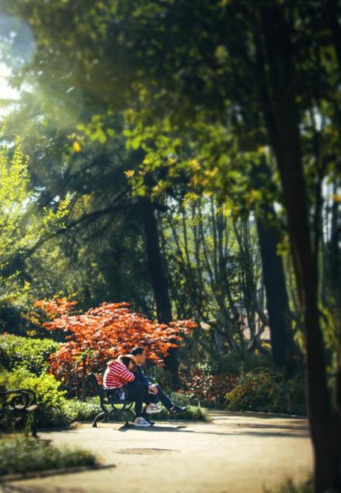 西安有什么好吃的 西安有什么好吃的