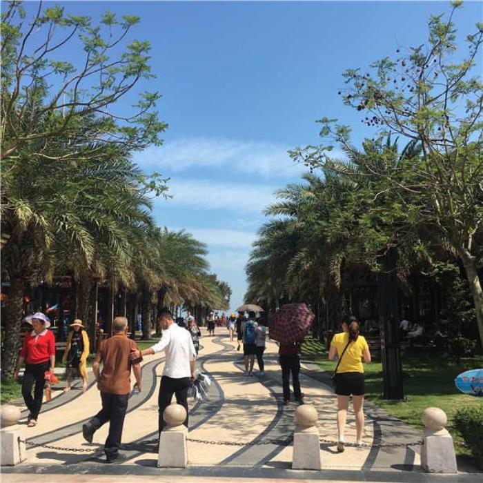 東山島旅游攻略