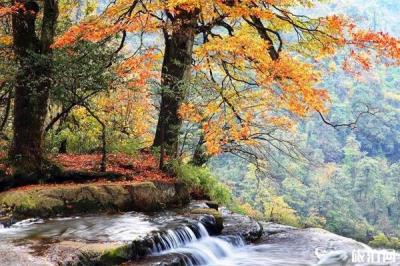 昭通小草壩風景區