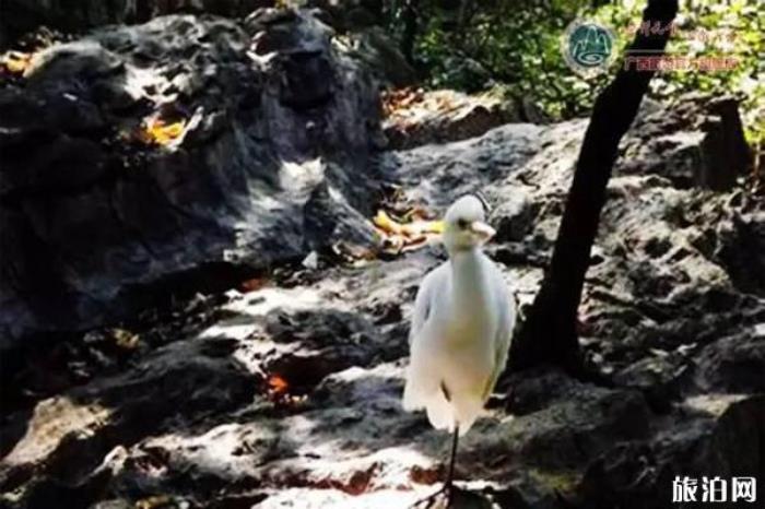 桂林疊彩山景區 桂林疊彩山景區