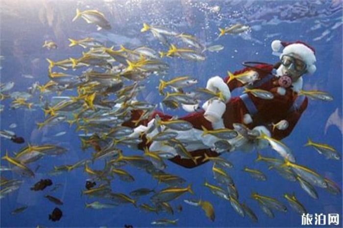 南波灣海洋樂園 南波灣海洋樂園