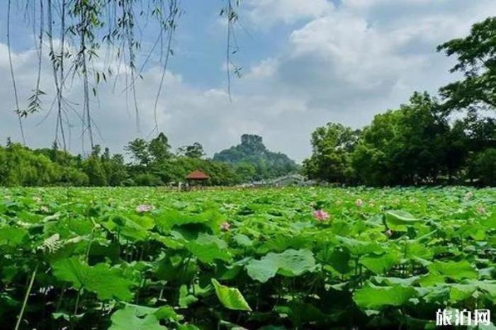 柳州市雀兒山公園 柳州市雀兒山公園