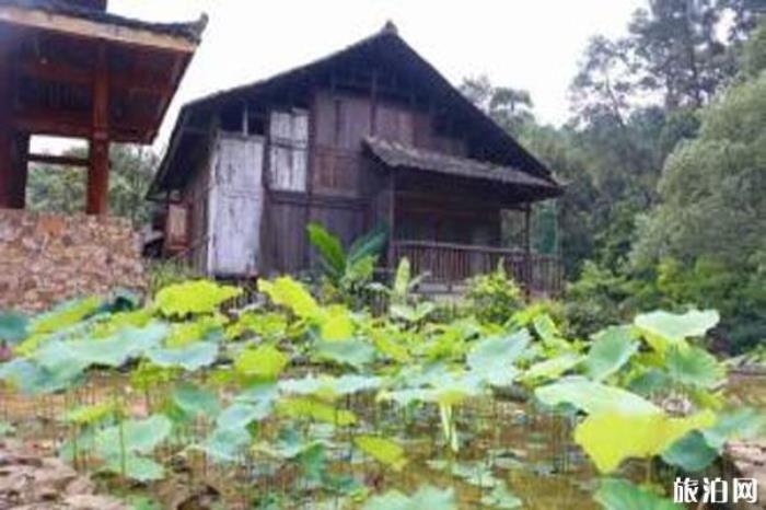 柳州君武森林公園 柳州君武森林公園