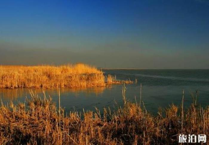 柴窩堡湖 柴窩堡湖